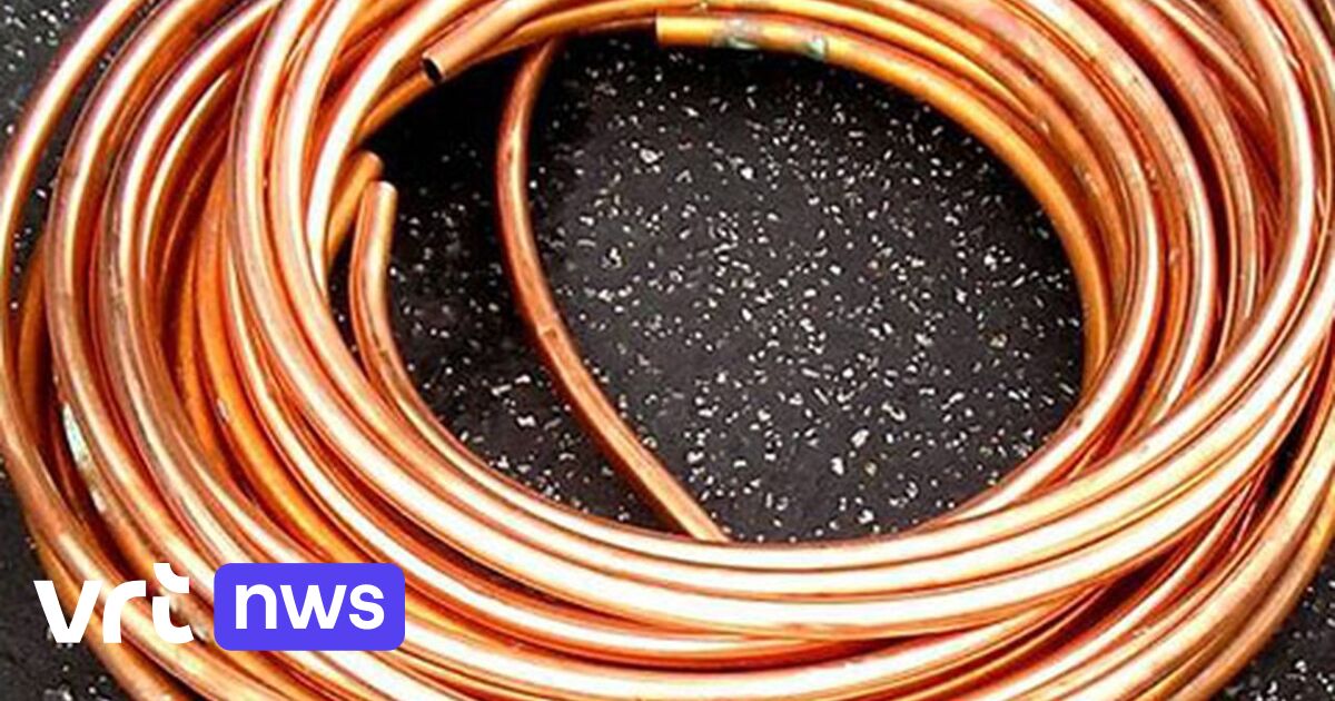 Drukte bij Herentalse handelaar in oude metalen "Mensen komen koper