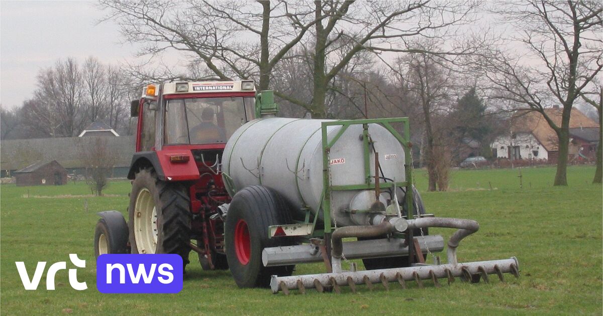 Vlaamse onderzoekers vinden nieuwe methode om stikstof op akkers te verminderen: 