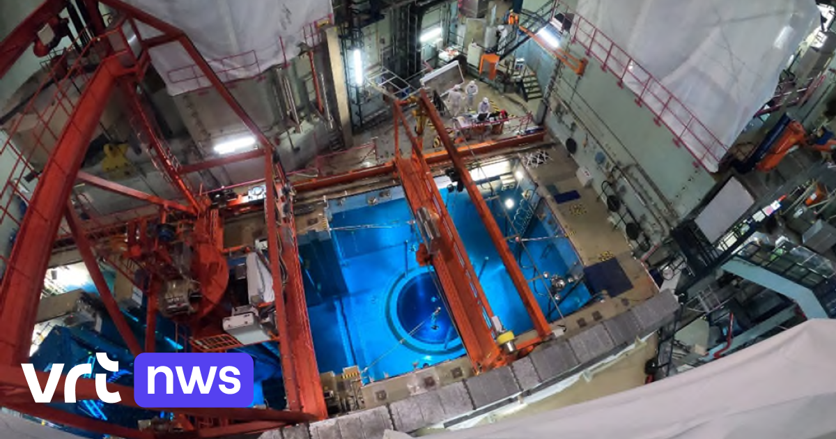 Strompreise senken: Belgiens Industrie fordert Studie zur längeren Laufzeit von Atommeilern