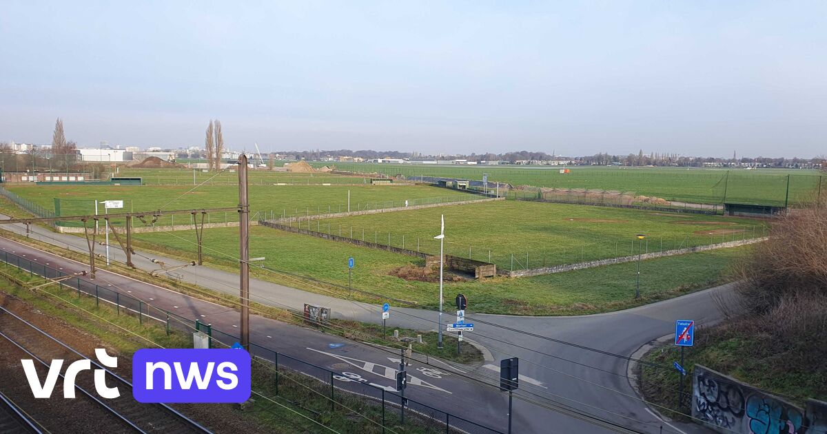 “Deurne Airport’s future in jeopardy as TUI flights threatened by runway use limitations”