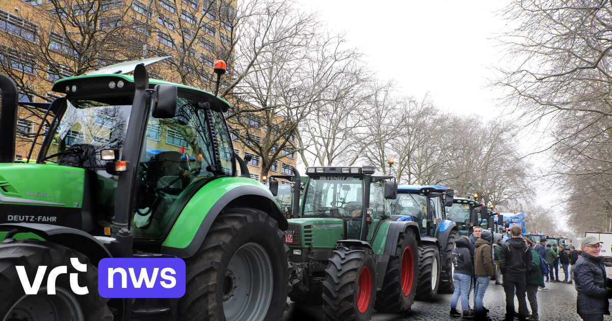 Wat staat er in de conceptnota over stikstof die de Vlaamse regering verdeelt? VRT NWS nieuws
