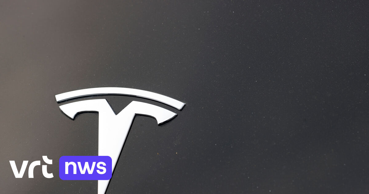 Tesla moet honderden miljoenen betalen voor dodelijk ongeluk in VS