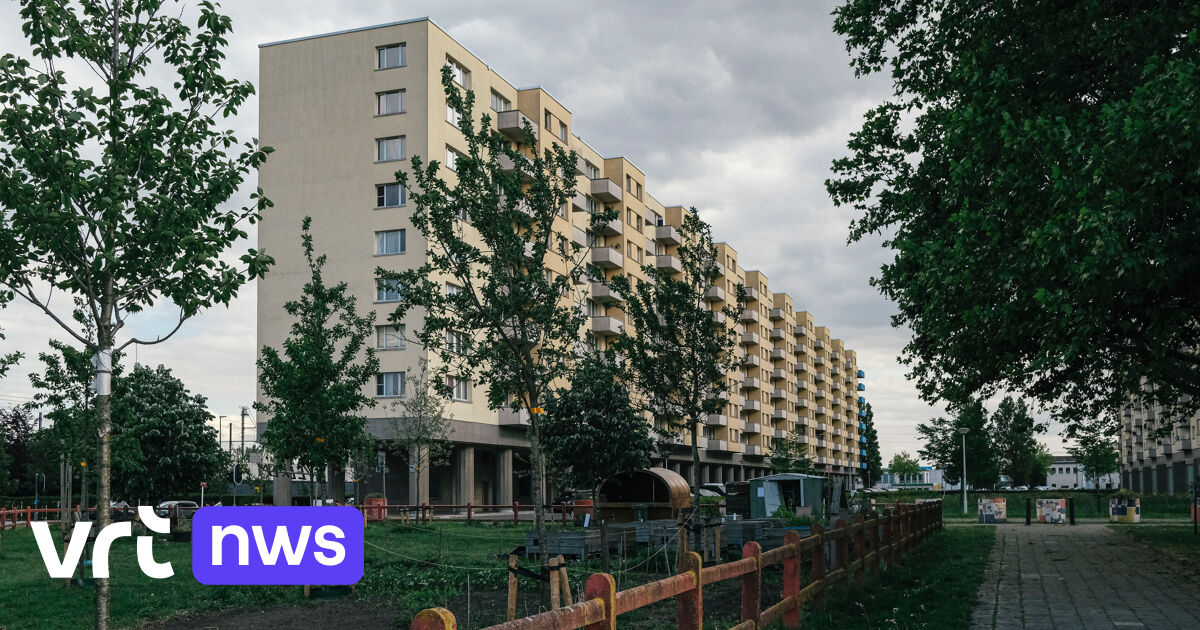 Sociale Woningen In Vlaanderen: Welke Gemeenten Zijn Goede Leerlingen ...