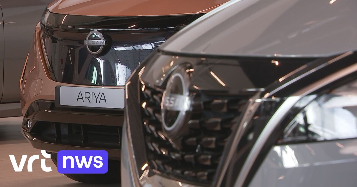 New car waiting times easing VRT NWS news