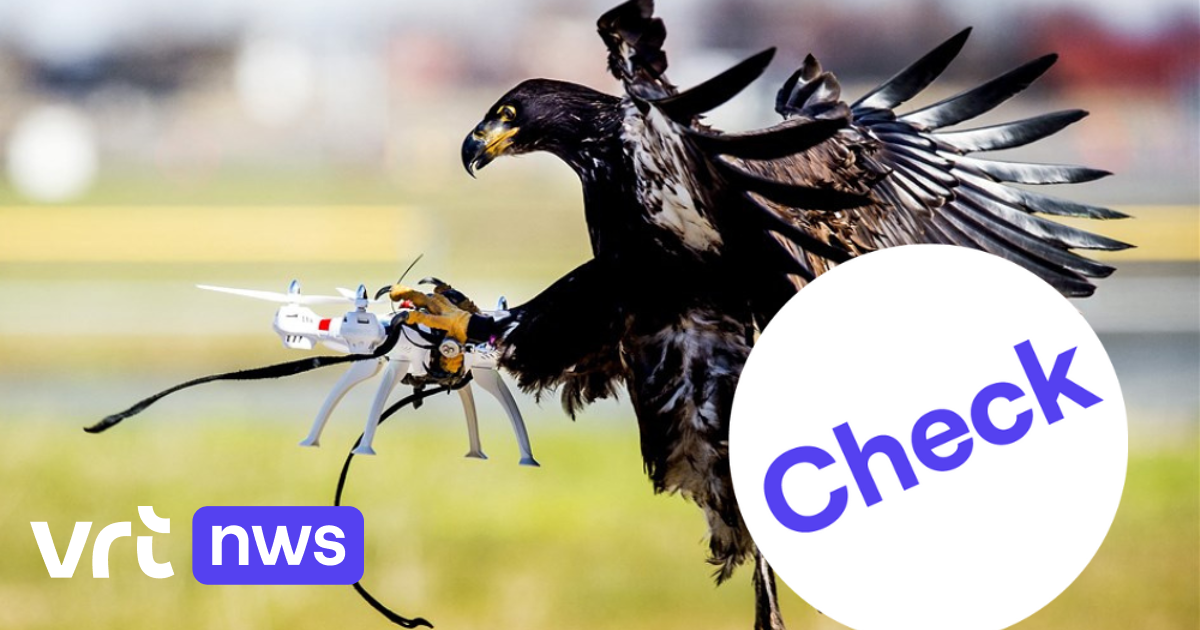Image accompanying Rusland traint arenden om drones uit de lucht te halen.
