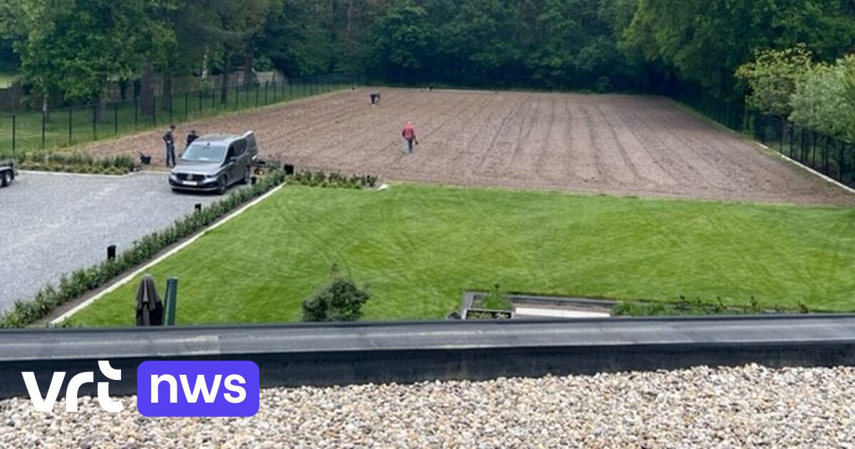 Restaurant Modest in Oudsbergen start met eigen wijngaard VRT NWS nieuws