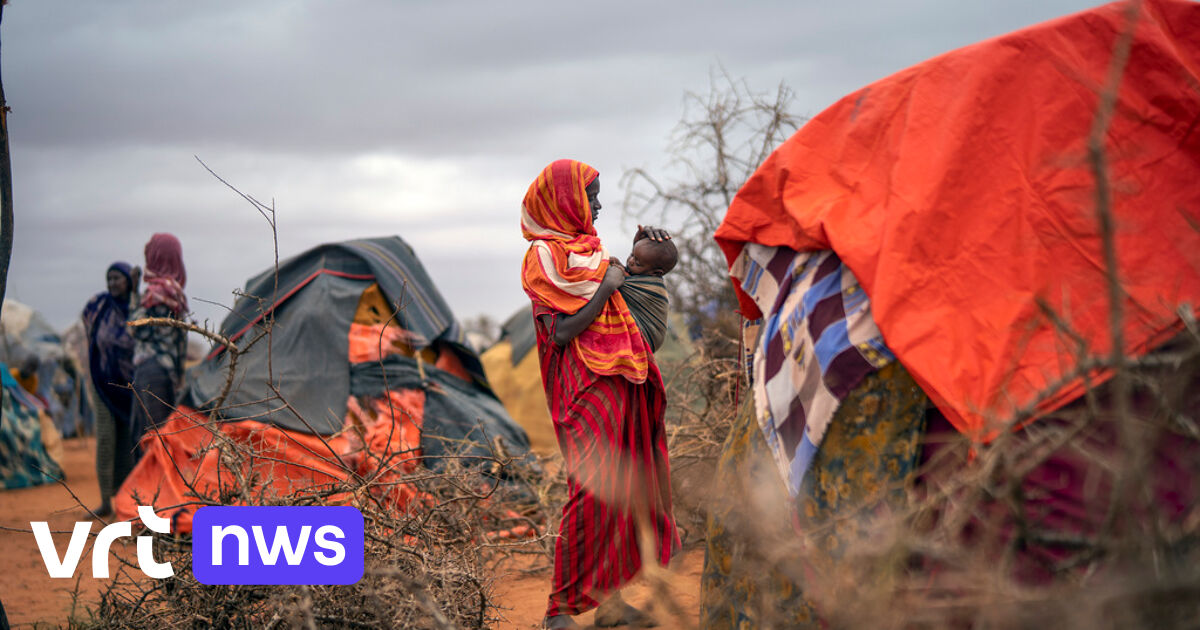 Historisch Akkoord In Somali Verkiezingen Vanaf 2024 Weer Volgens   3fa6318c Fd3a 11ed 91d7 02b7b76bf47f 