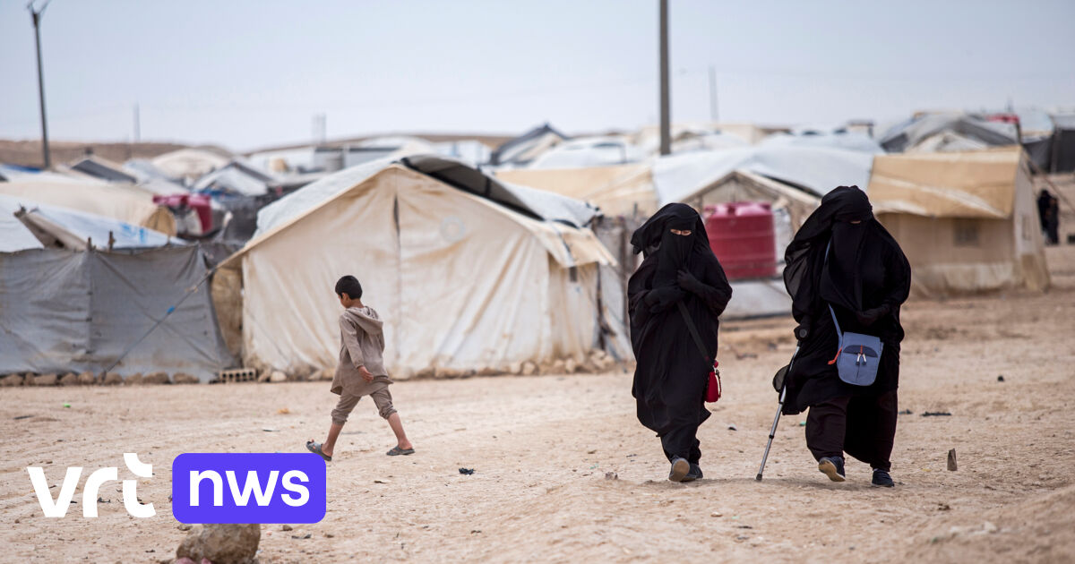 La France rapatrie 10 femmes et 25 enfants des camps de prisonniers en Syrie