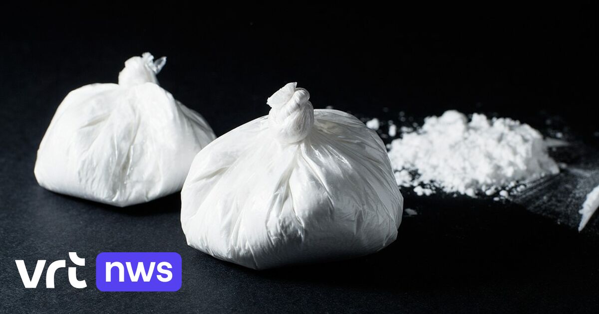 Leden van Brusselse stadsbende krijgen gevangenisstraffen tot 6 jaar voor drugshandel