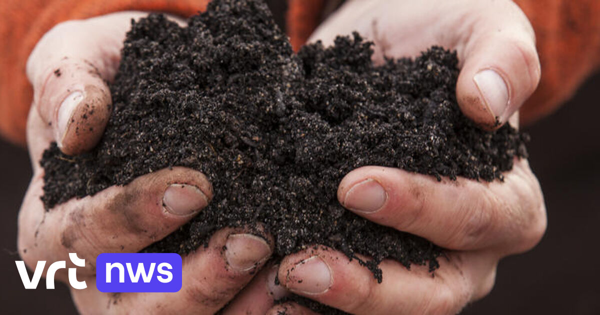 Tervuren bant potgrond met turf uit gemeentelijk groenonderhoud en bloemenmarkt