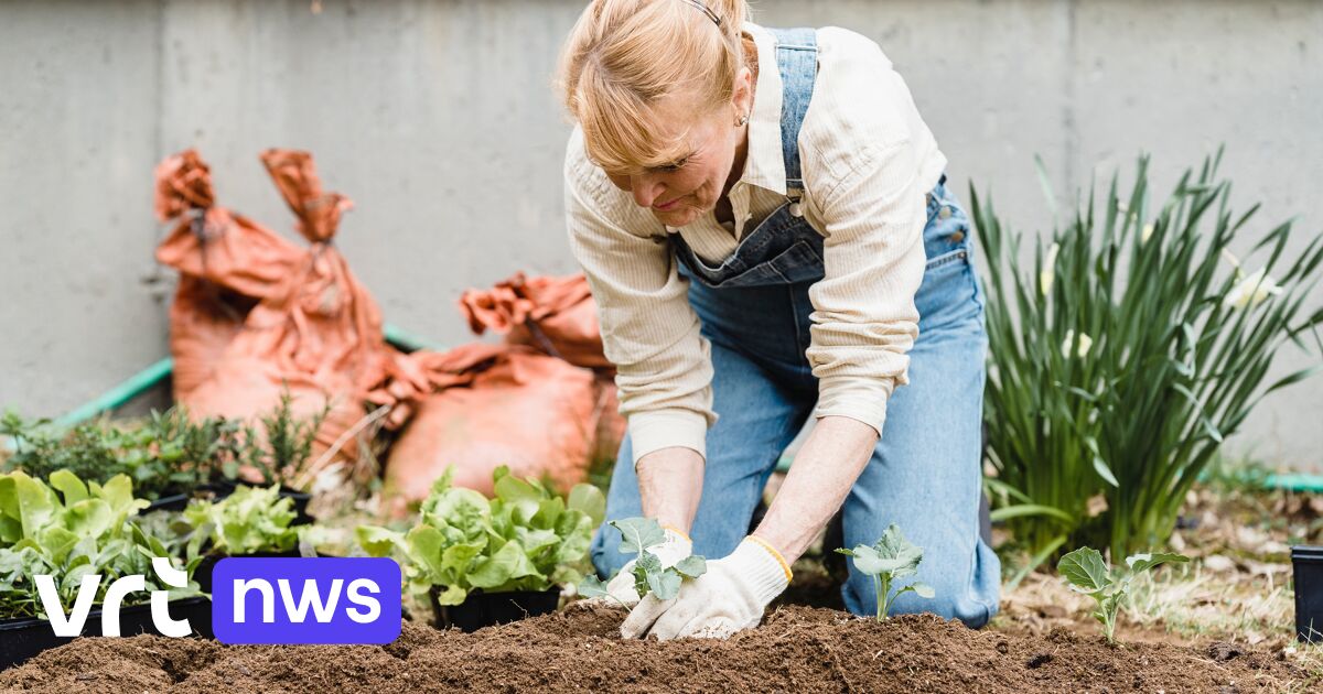Wat moet je doen met je oude potgrond? "Gooi bij GFT of hergebruik in