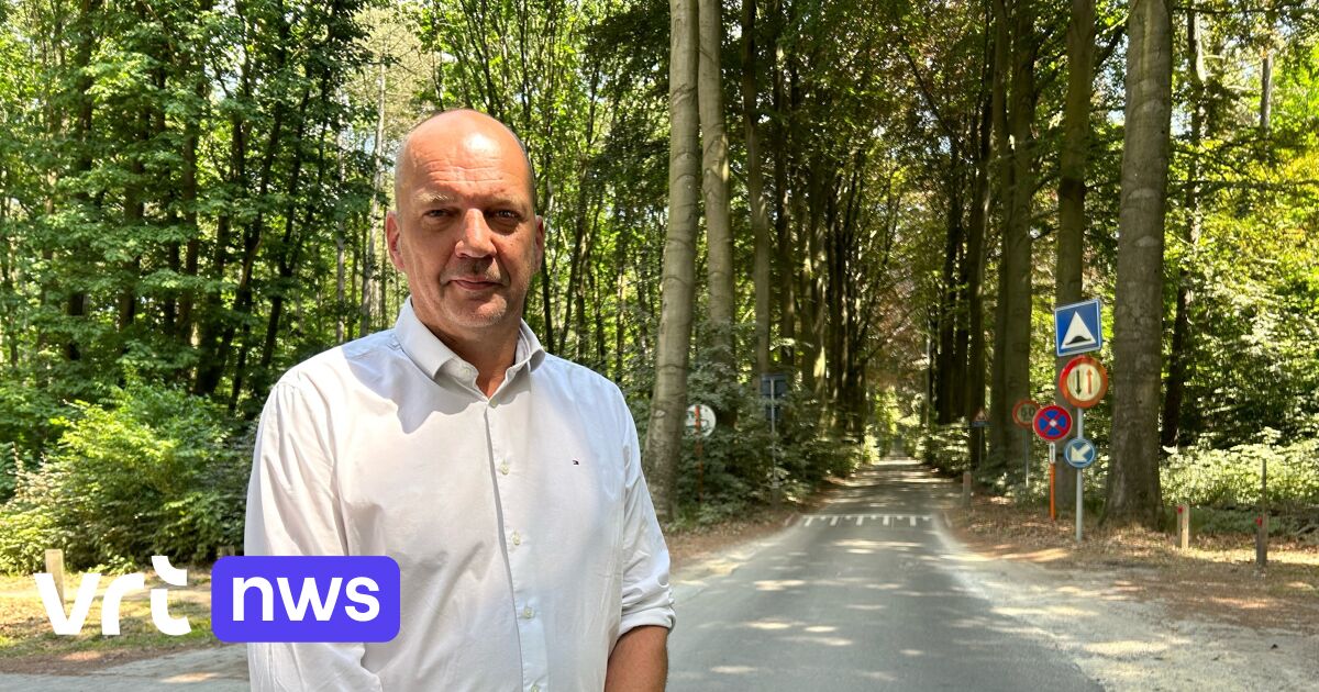 OudHeverlee wil Weertse Dreef overdragen aan Natuur en Bos "Dreef wordt opnieuw een autovrije