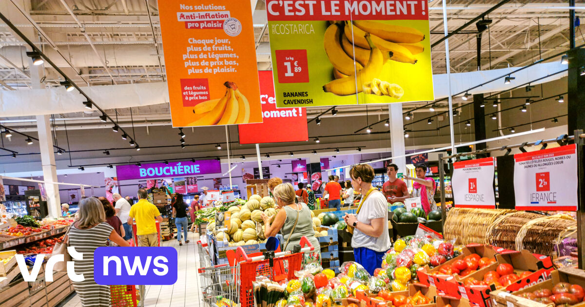 Faire ses courses en France: toujours moins cher qu'en Belgique?