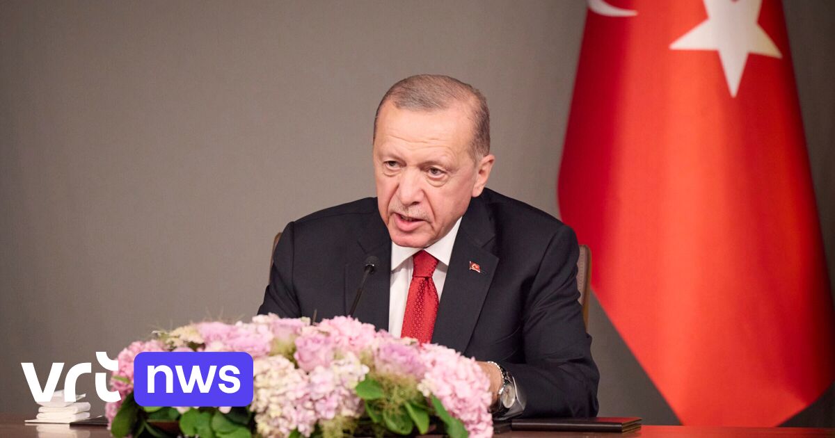 Президент Турции Эрдоган: «Швеция может вступить в НАТО, если Евросоюз возобновит переговоры о вступлении с Турцией»