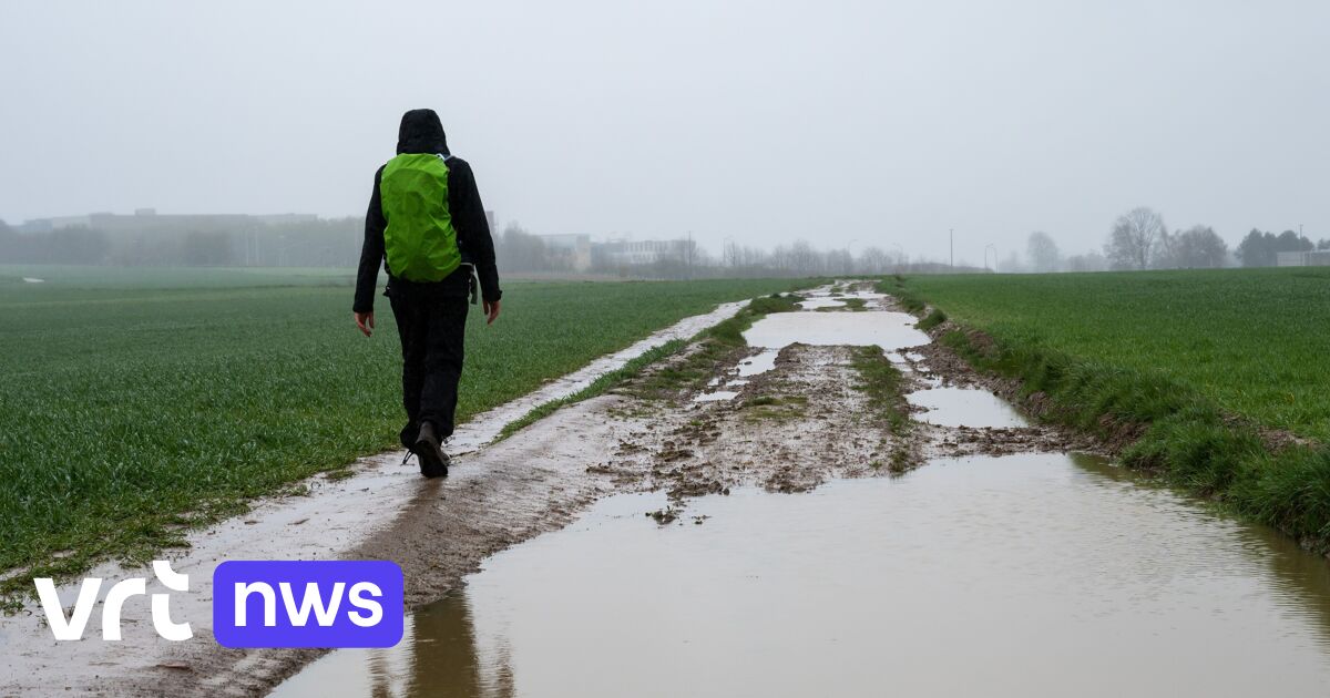 Weer in België: Opnieuw een regenachtige zondag met te frisse temperaturen