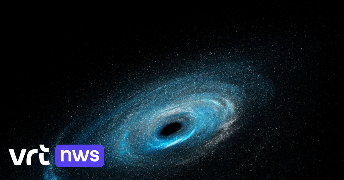 The Formation and Influence of Ancient Black Holes: Insights from Supermassive Black Holes in the Early Universe