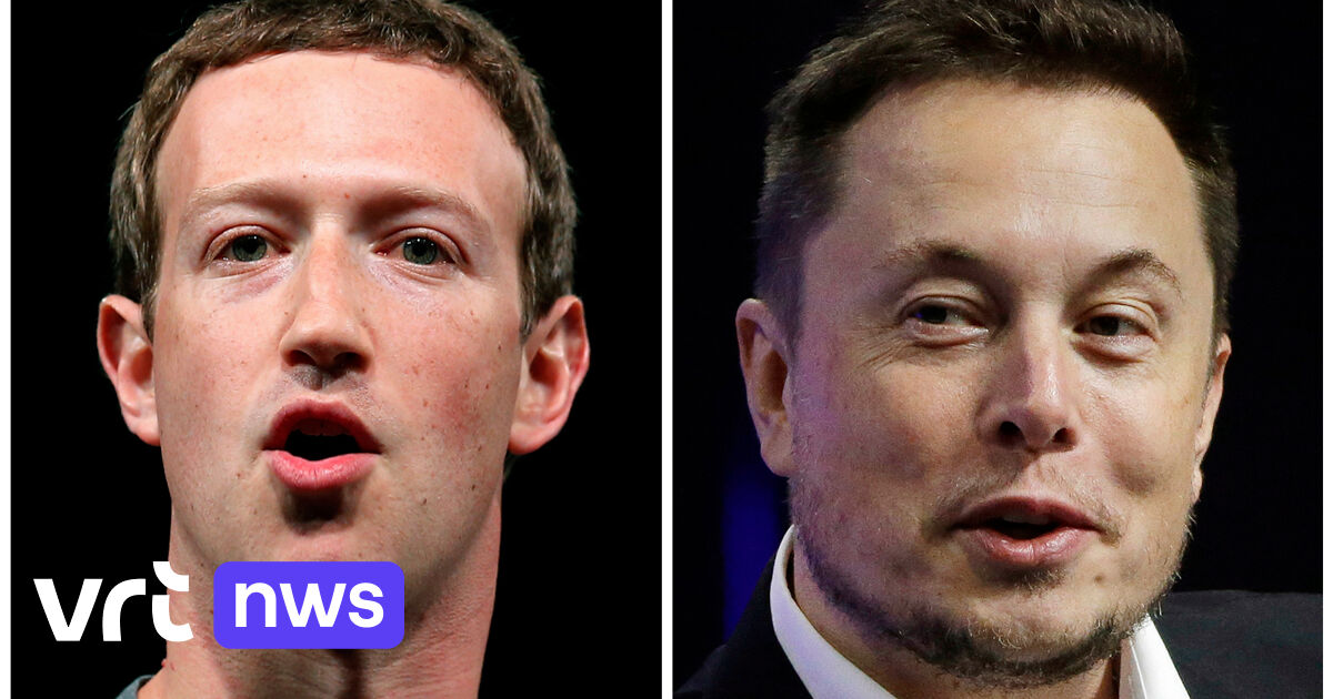 Elon Musk's Epic Cage Fight Challenge To Mark Zuckerberg In Ancient ...