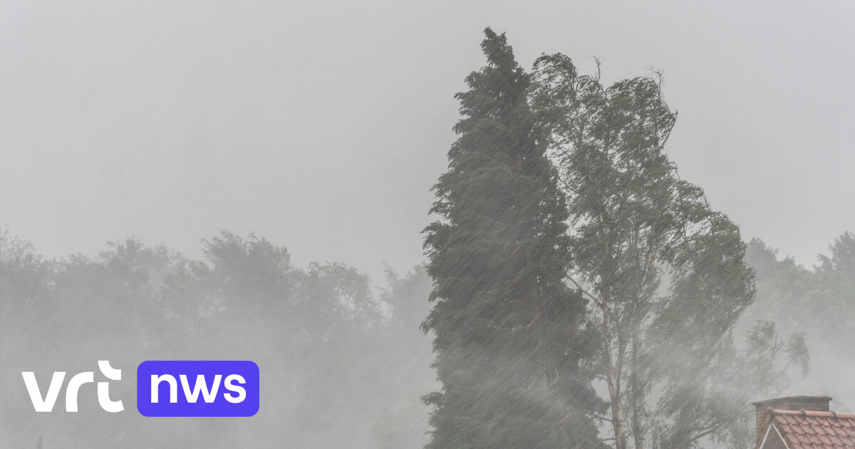 Weather warning: code yellow for thunderstorms in parts of the country ...