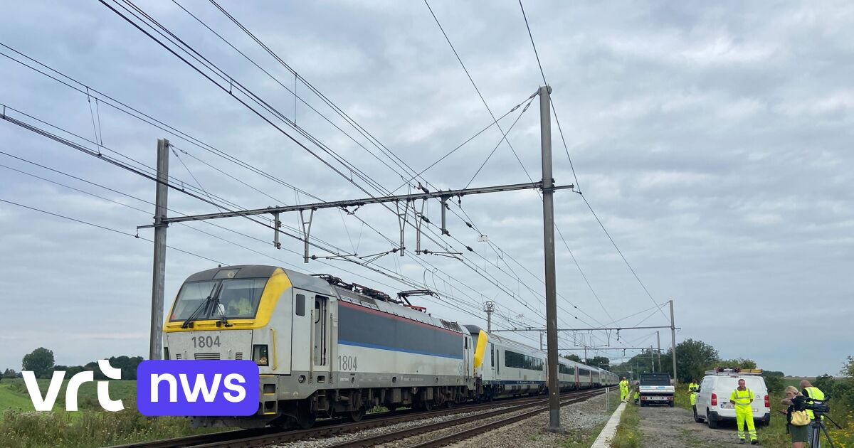 59-jarige Bestuurder Overleden Bij Aanrijding Met Trein In Landen ...