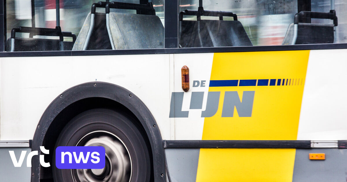 Snelbus tussen Lommel en Hasselt wordt vanaf januari trager door extra haltes en omweg via ziekenhuis van Pelt 
