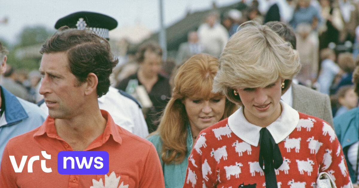 The Symbolic Red Sweater Worn by Princess Diana at Polo Match: Sold for .1 Million