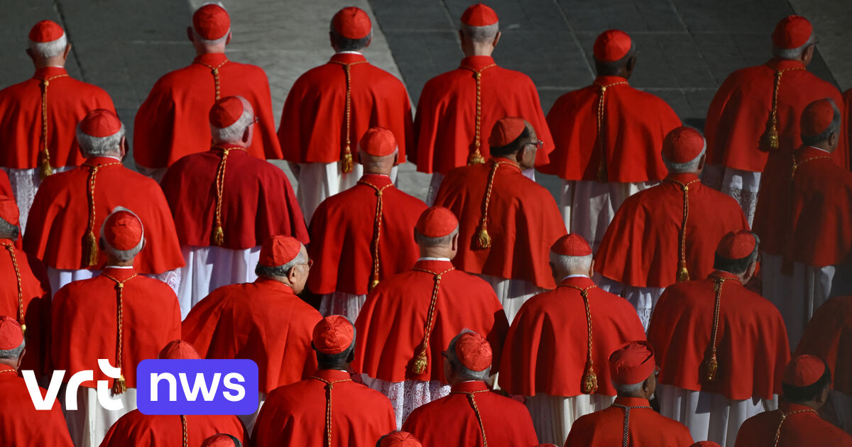 Paus Franciscus wijst 21 nieuwe kardinalen aan (en dat zal invloed
