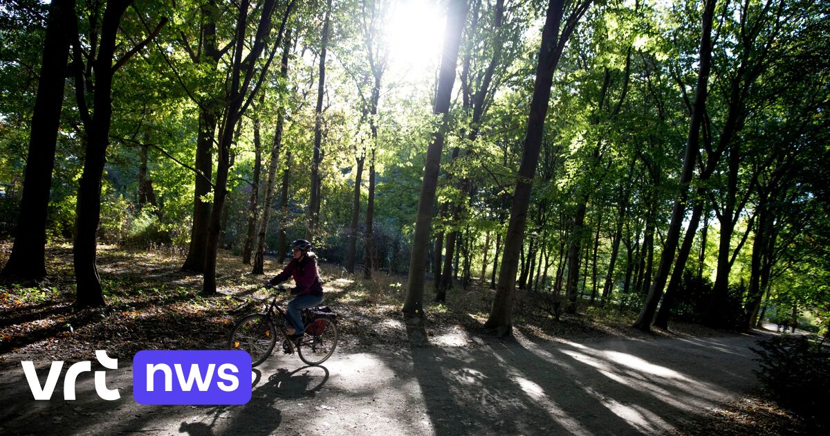 Nog enkele dagen nazomeren: morgen tot 25 graden | VRT NWS Nieuws