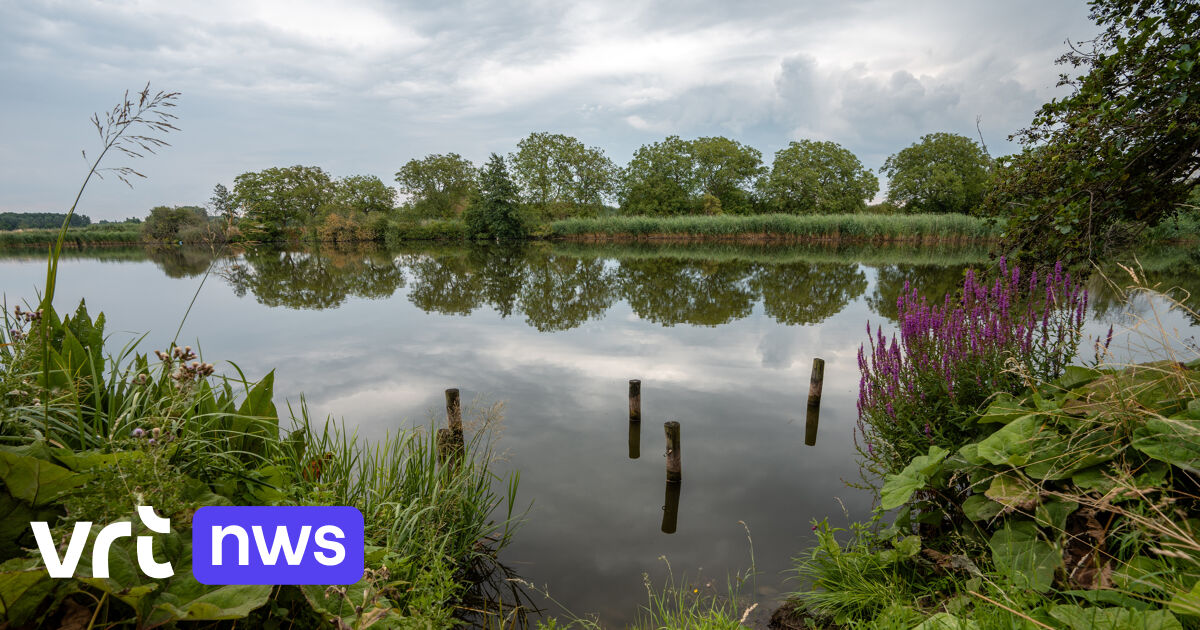 Brabantse Wouden Designated as a National Park with Plans for Increased Connectivity