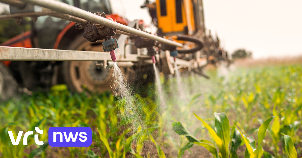 Europees Parlement verwerpt voorstel om pesticidegebruik te halveren tegen 2050