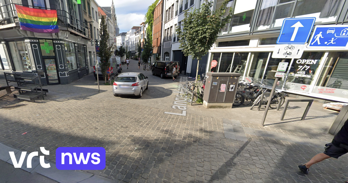 Bromfietser (53) rijdt in foute richting en komt om het leven na botsing in Antwerpen