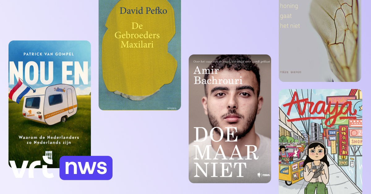 De boeken van de week: Nederland door de ogen van een Belg, het debuut van cartooniste Chrostin en een warm pleidooi van Amir Bachrouri