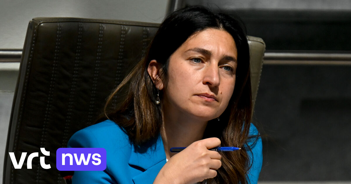 Uitspraak in de klimaatzaak: minister Demir wil naar Hof van Cassatie, groene ministers plannen ambitieuzer klimaatbeleid