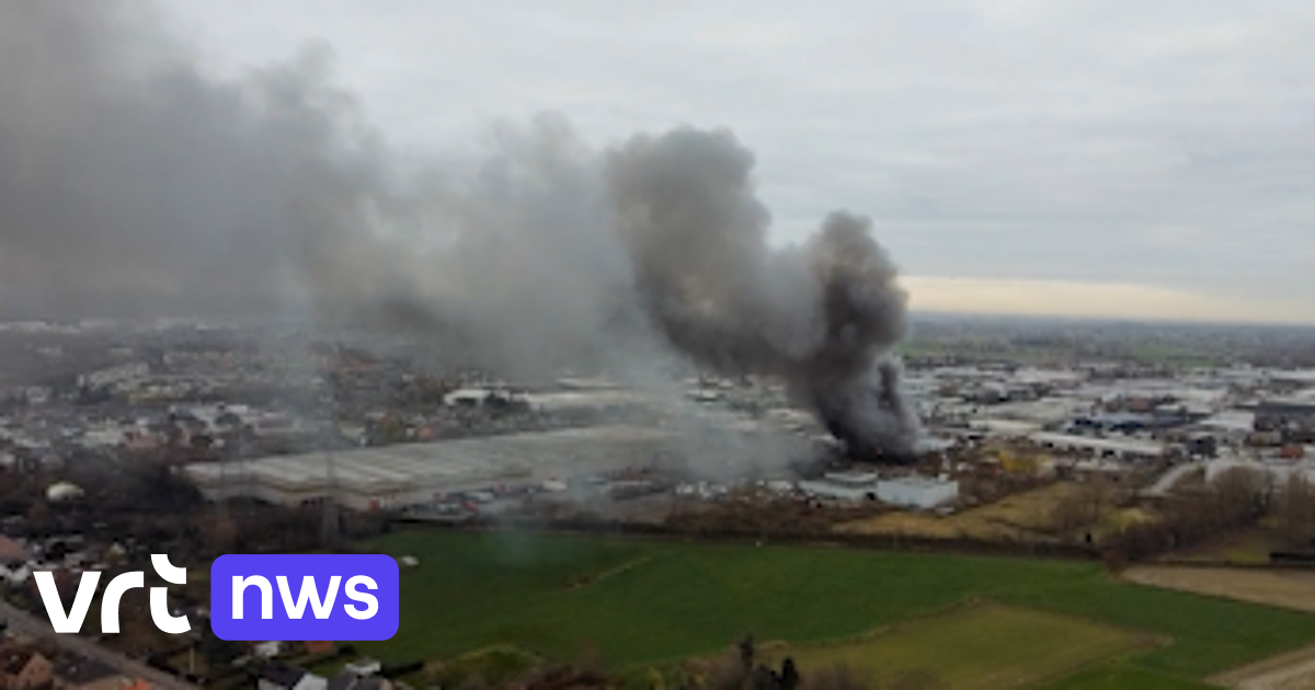 Dronebeelden Tonen Immense Rookpluim Boven Temse | VRT NWS: Nieuws