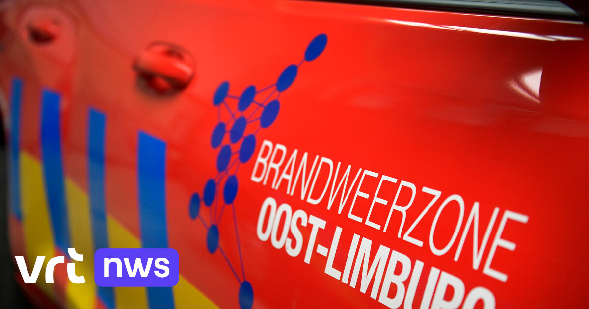 Brand in de natuur bij Maasmechelen