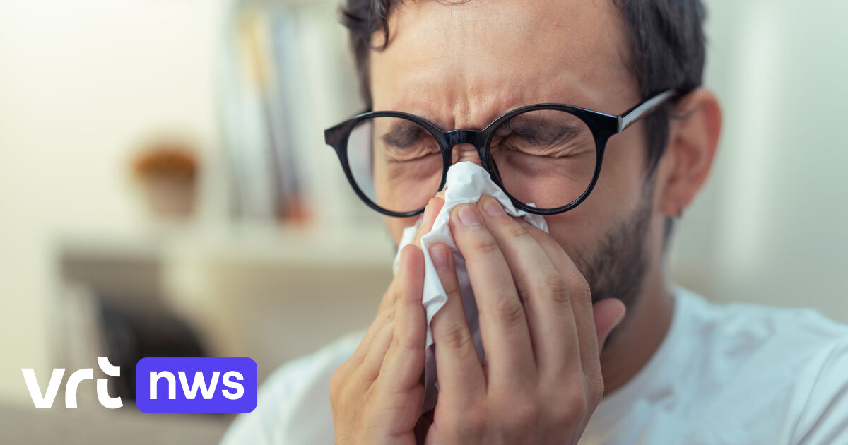 "Hatsjie" hooikoortsseizoen is begonnen, ontdek op onze