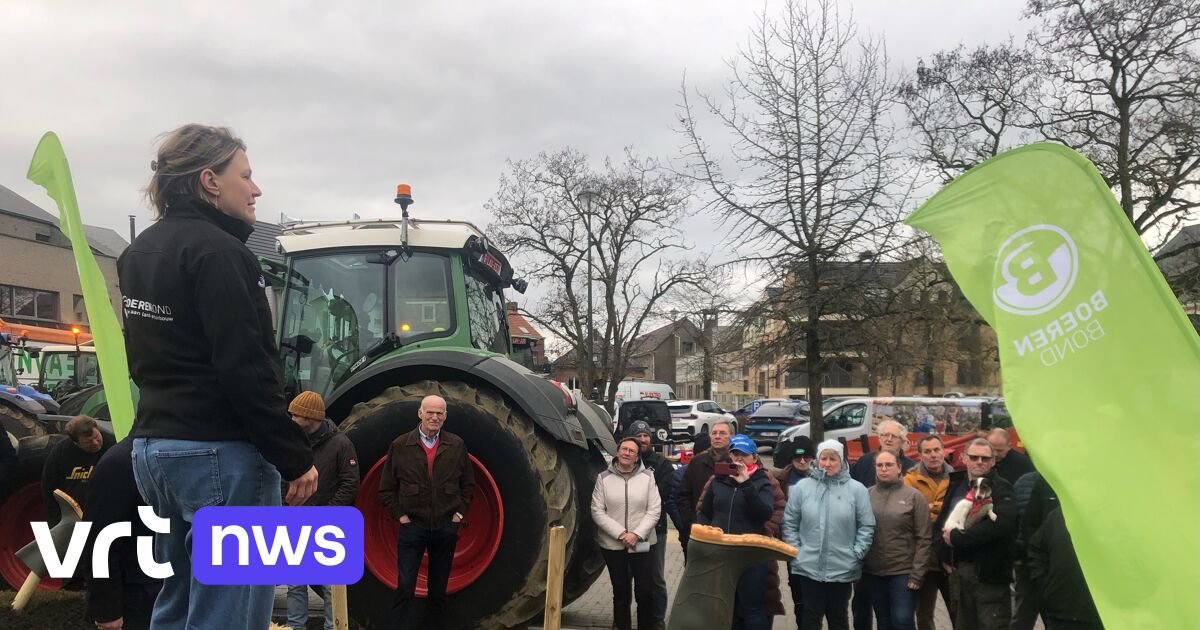 Boeren Voeren Actie In Lubbeek: "Regels Die Ze Ons Opleggen, Zijn ...