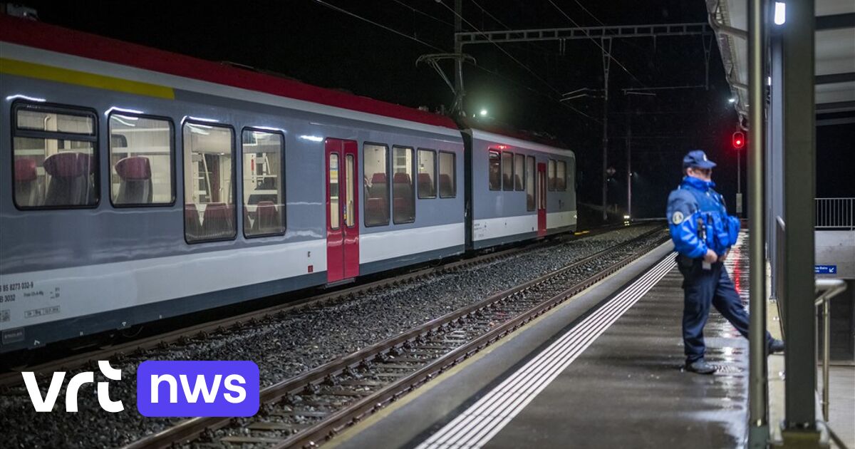 В Швейцарии пятнадцать пассажиров поезда четыре часа держали в заложниках, а полиции удалось застрелить преступника