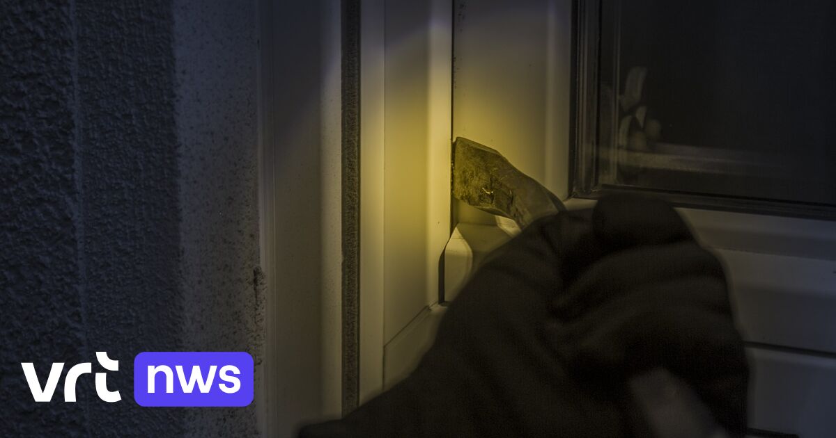 Bewoner betrapt inbrekers in Sint-Katelijne-Waver: 2 verdachten aangehouden na klopjacht