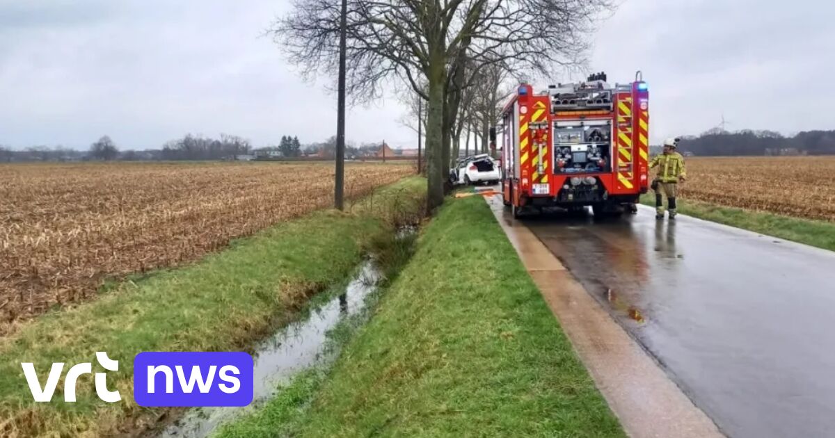 Bestuurder in levensgevaar na crash tegen boom in Westerlo, ook