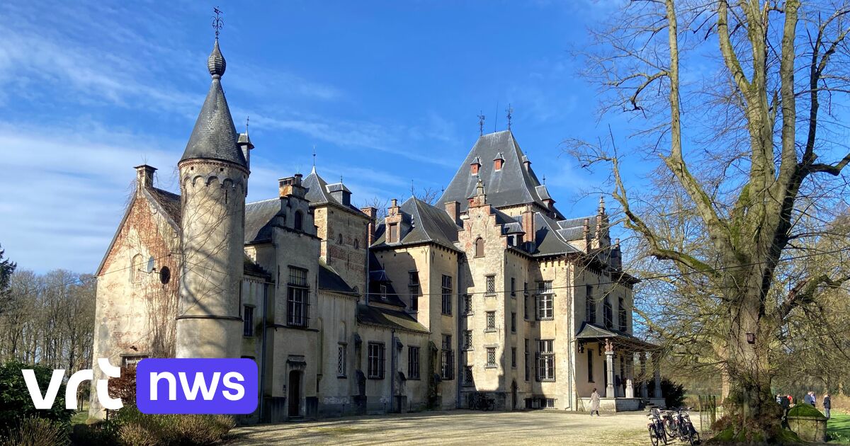 Van kasteel van Westmalle tot Hof ter Linden in Edegem: Britse krant The Guardian zet Antwerps landg