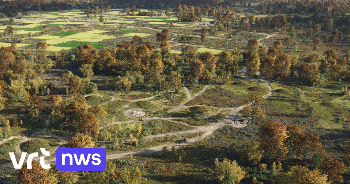 Prehistorische akkers in Oudsbergen, Pelt en Herentals voorlopig beschermd als archeologische sites