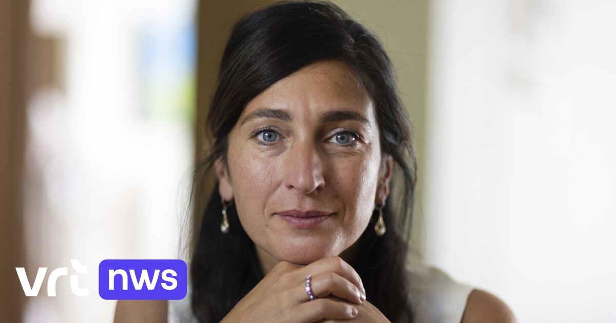 Vlaams Minister Zuhal Demir (N-VA) Dient Een Klacht In Nadat Ze Dickpic ...