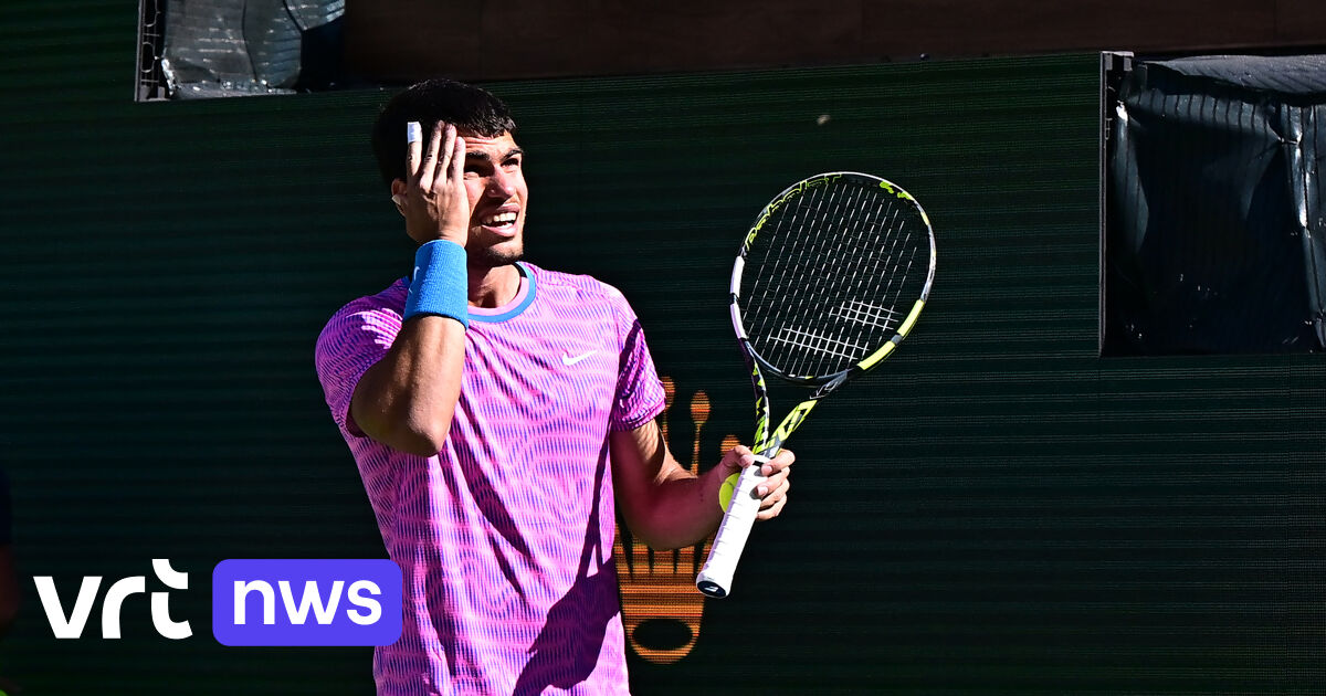 After bee swarm that targeted tennis player Alcaraz, why do bees attack?