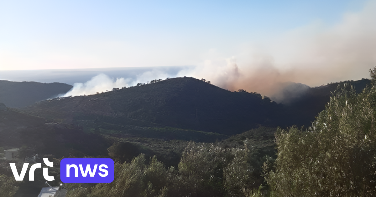 La vigilanza ha raggiunto il secondo livello più alto dopo gli incendi boschivi in ​​Grecia