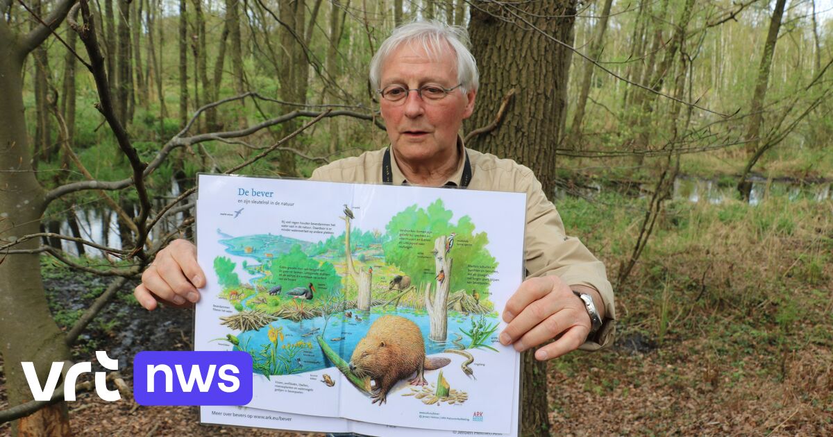 60 deelnemers voor beverexpeditie in Oudsbergen op Dag van de Bever