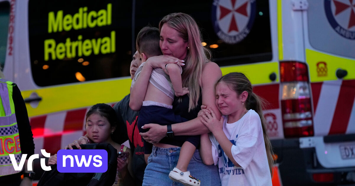 Man stabs 6 people to death in shopping center in Australian city Sydney, perpetrator had mental problems