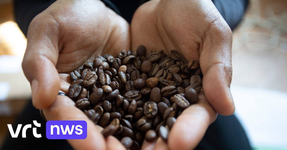 Coffee Prices Continue to Rise: Colruyt Temporarily Stops Ordering Coffee from Douwe Egberts - News Directory 3