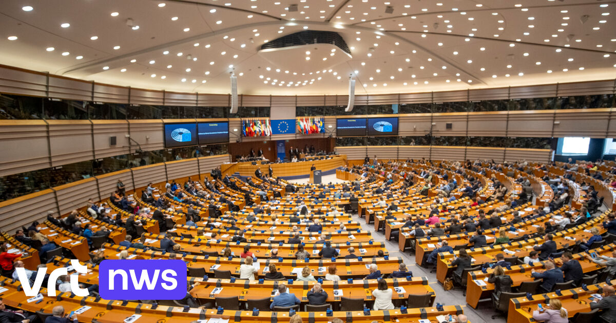 “Tradimento” al Parlamento europeo: il Partito popolare europeo sostiene la fazione di estrema destra attorno all’AfD nel voto sul bilancio