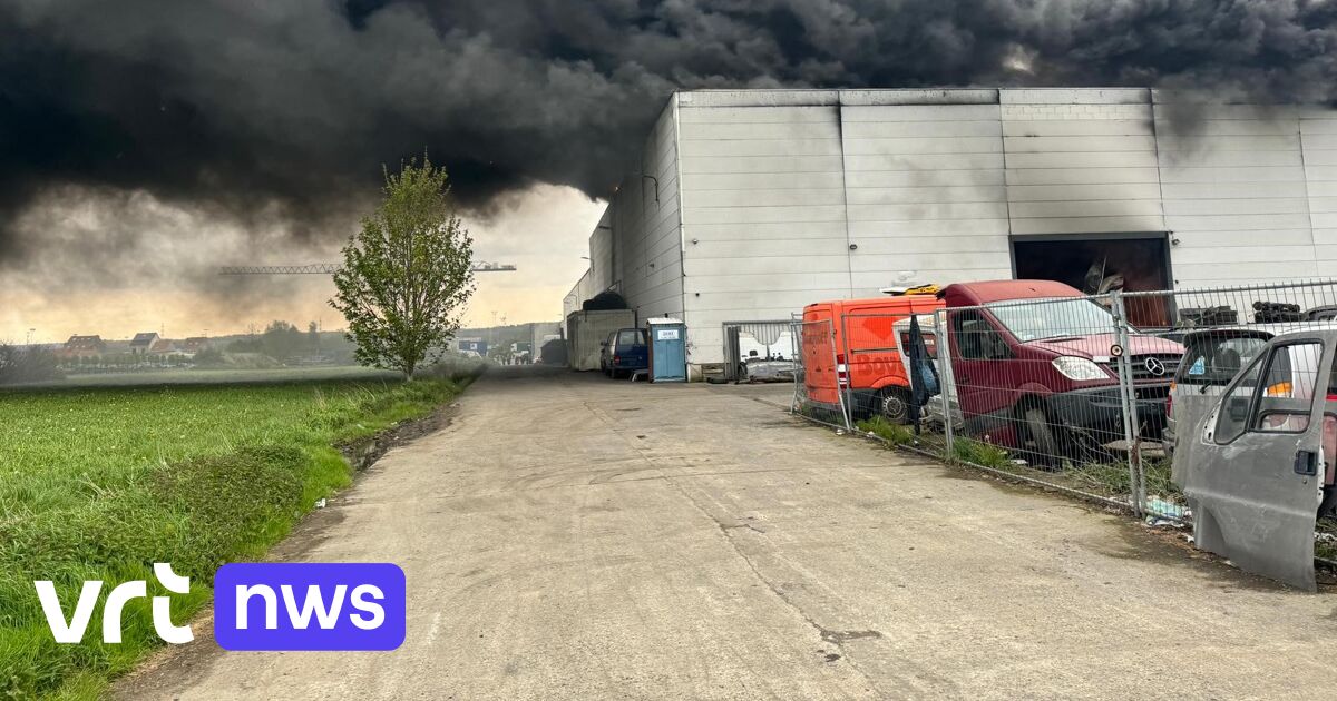 Un violent incendie dans un entrepôt à Sint-Pieters-Leeuw a été éteint, une personne hospitalisée