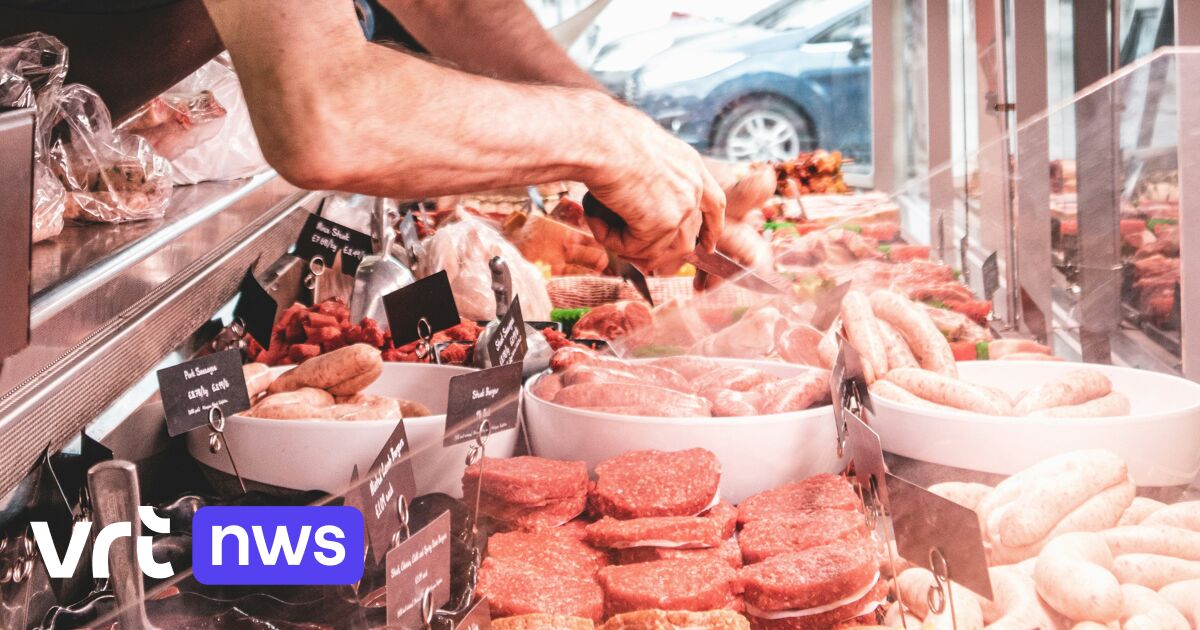 Nederland vernieuwt 'Schijf van Vijf': eet minder vlees en kies vaker plantaardig, luidt advies